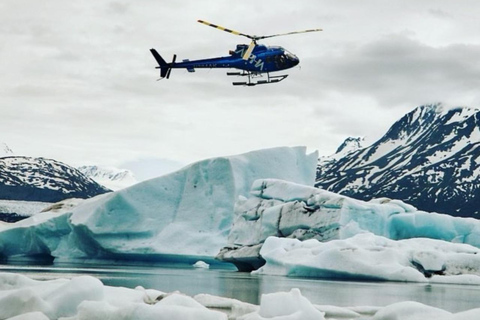 Seward: Ocean & Icebergs Helicopter Tour with 2 Landings