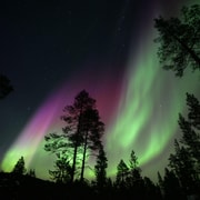 Private Jagd nach den Nordlichtern in Saariselkä, Ivalo, Inari