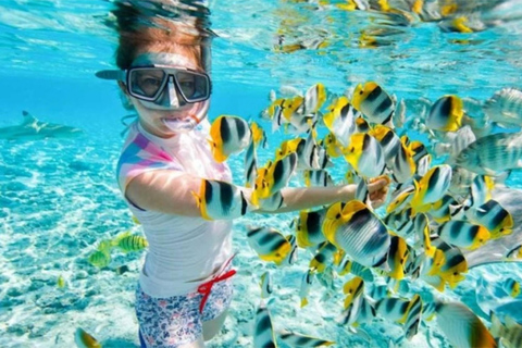 Sharm: Mangrove, Magic Lake, Earthquake Crack w/Snorkeling