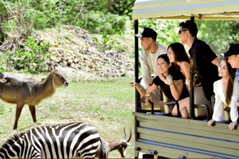 Cebú:Excursión de un día al Parque de Aventuras Safari de Cebú