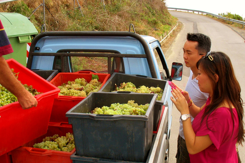Cinque Terre Private Day Trip from Florence