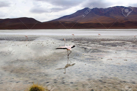 Excursão de 5 dias a Uyuni e à Lagoa Vermelha