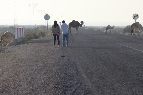 3 dagar Sahara fyrhjulingstur