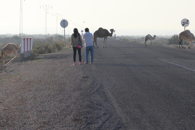 3 giorni di tour del Sahara in quad