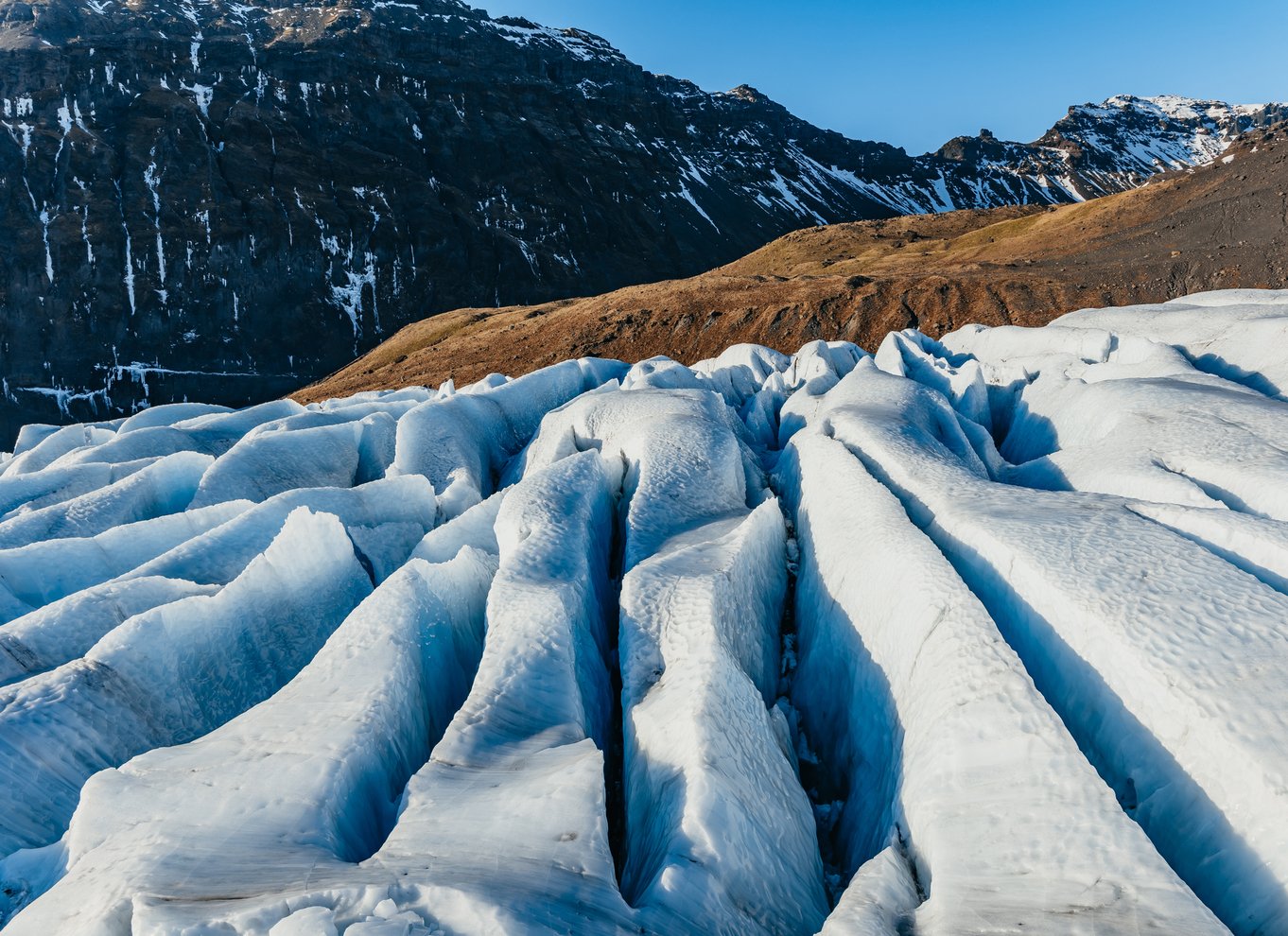 Skaftafell Nationalpark: Falljokull-gletsjeren - let vandretur