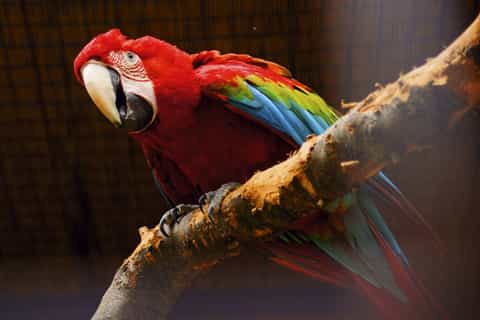 Prague: Boat Ride to the Zoo and Admission Ticket