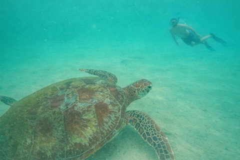 Mirissa: Turtles, Coral Reefs & a GoPro Below the Surface