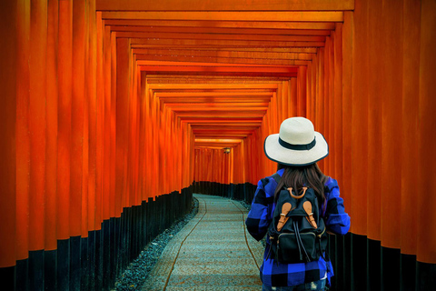 Da Osaka:Tour privato di Kyoto e Nara (autista parlante inglese)Kyoto: Tour panoramico privato con autista che parla inglese