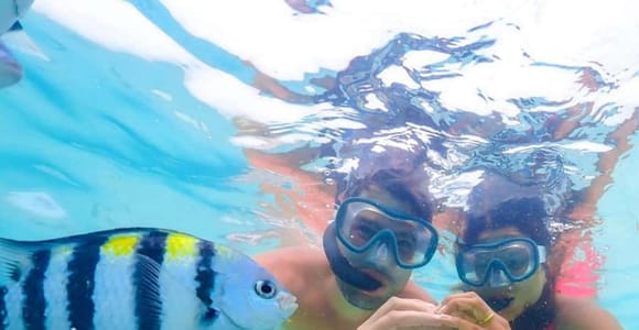 ZANZIBAR: Blue Lagoon, Starfish, The Rock & Prison Island