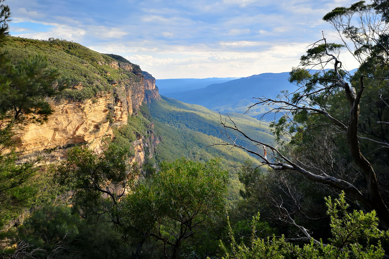 Ab Sydney: Blue Mountains am Nachmittag & Sonnenuntergang