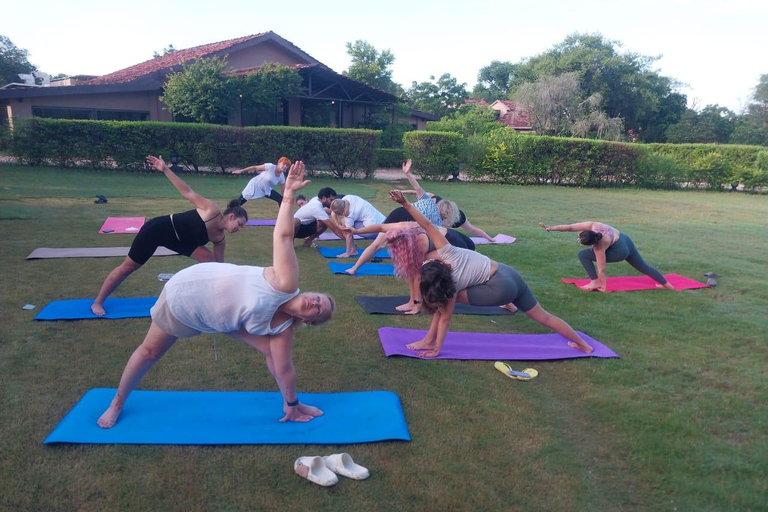 Jaipur: Yoga e Meditação com uma Caminhada Sagrada