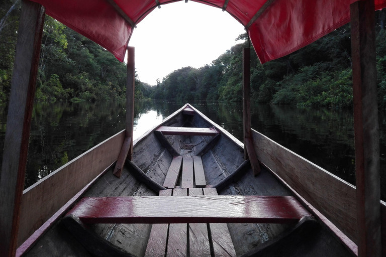 L&#039;Odyssée de l&#039;Amazonie : Explorez les merveilles de la forêt tropicale grâce à nos circuits !