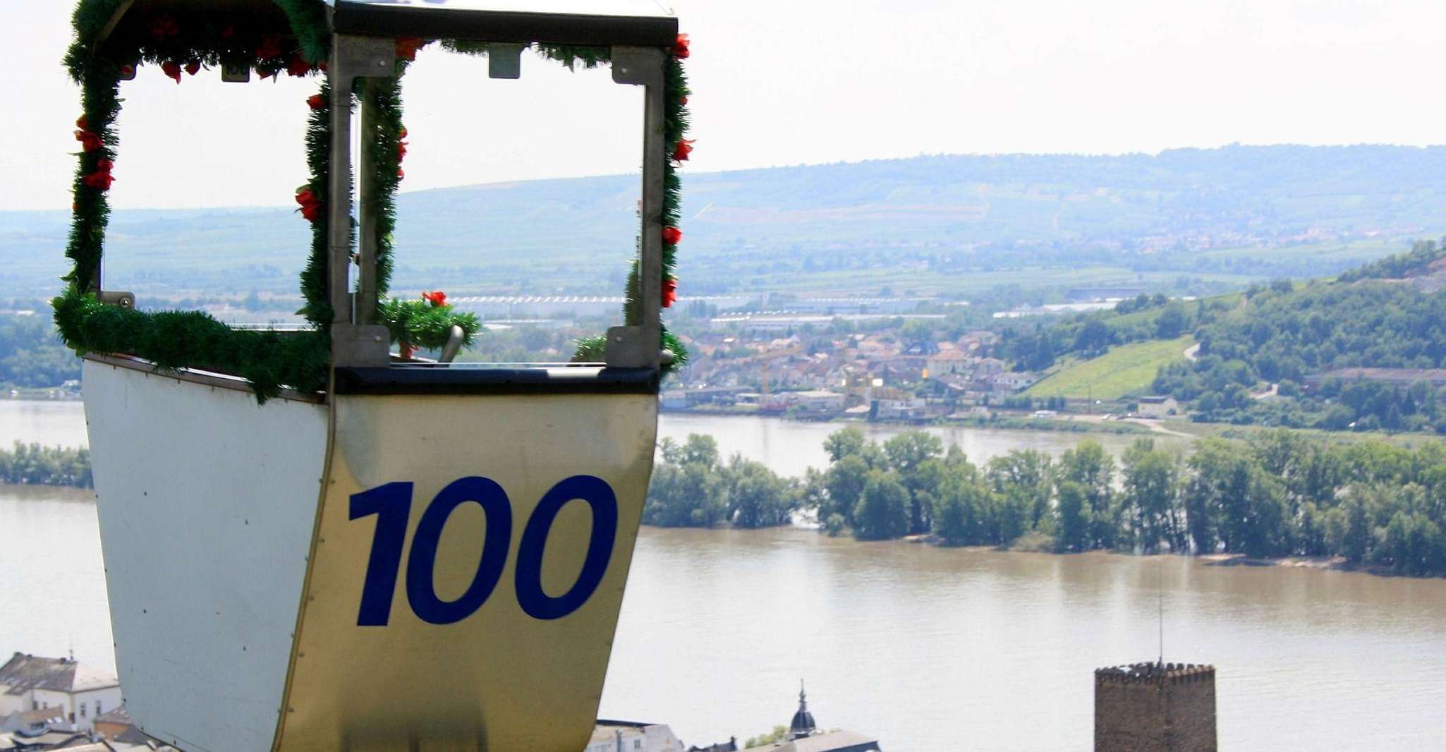 Rüdesheim, visite à pied guidée privée - Housity