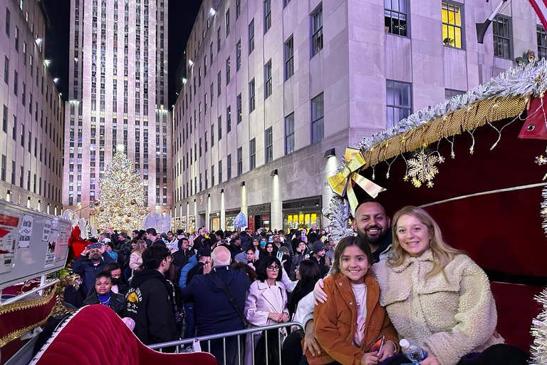 NYC: Christmas Lights Horse Carriage Ride