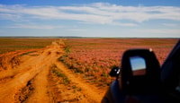 New cultural experience with nomad family at Semi gobi - Housity