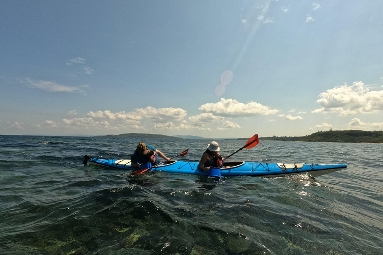 Okinawa: Private Kayak Mangrove or Reef with Native EnglishOkinawa: Private Kayak Tour with English-Speaking Guide