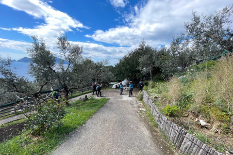 SORRENTO AMALFI COAST: TREKKING AND OVERNIGHT IN NERANO BAY BAY OF NERANO: hiking guide trekking and overnight in Nerano