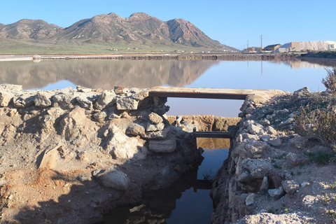 Cabo de Gata: Kayaking and Snorkeling + Salt Flats and Flamingos | Full Tour