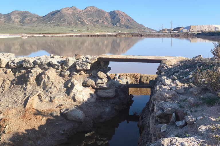 Cabo de Gata: Kayaking and Snorkeling + Salt Flats and Flamingos | Full Tour