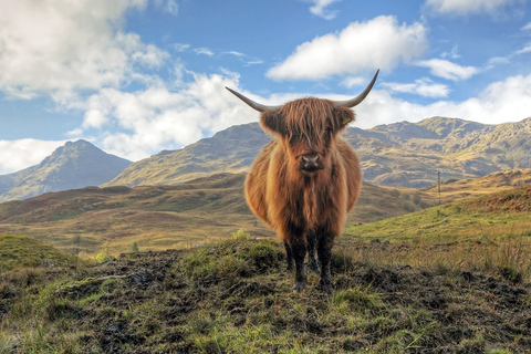 Greenock: Excursión costera al Castillo de Stirling y Loch Lomond