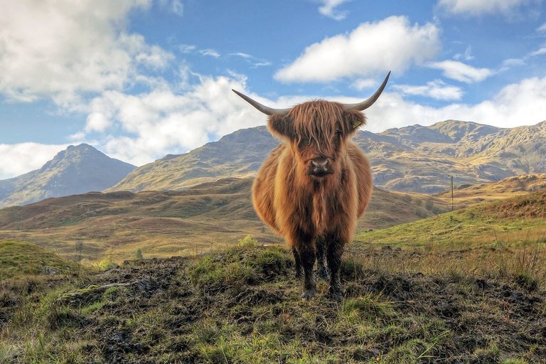 Greenock: Escursione a terra al Castello di Stirling e a Loch Lomond