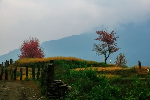 Pokhara: 2-daagse korte en zoete Ghorepani Poon Hill TrekPokhara: 2-daagse Ghorepani Poon Hill Trek volledig pakket