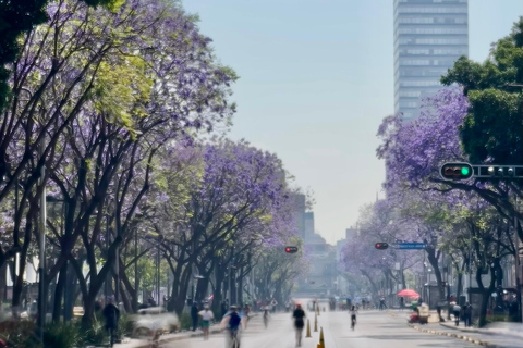 Mexico City: Cable Car, Forest & Centro Bike Tour