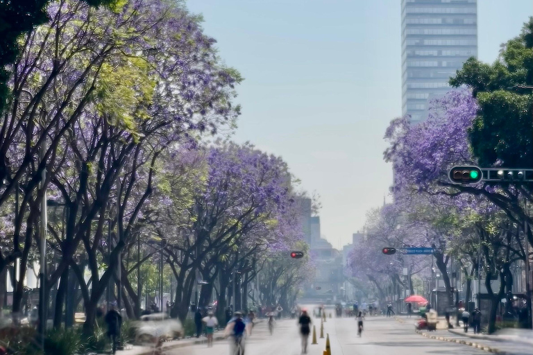 Mexico City: Cable Car, Forest & Centro Bike Tour