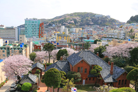 Busan Untold: War History, Hillside Villages & Songdo Cable Shared Group Tour, Depart from Busan Subway Station Exit 3