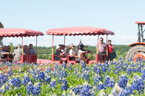 Sapporo Day Tour: Biei Blue Pond & Lavender Farm with Lunch 7:30 Pickup Point + Flower Sea Ticket (with Buffet + Melon)