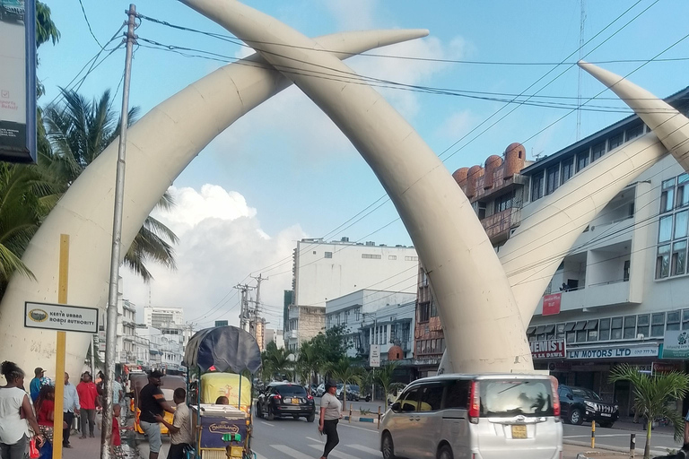 Mombasa: Private City Tour with street food and Haller Park