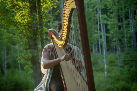Hollis: New Moon Yoga Nidra, Reiki & Harp Sound Bath
