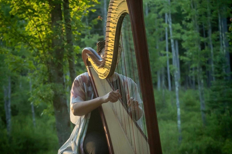 Hollis: New Moon Yoga Nidra, Reiki & Harp Sound Bath