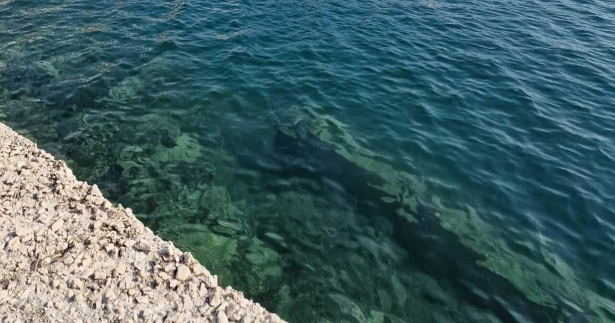 Konispoli Saranda, Butrint Ksamil och Lekuresi-slottet – privat dagsutflykt ...