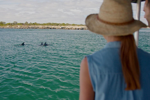 Koombana Bay: Dolphin Eco Cruise