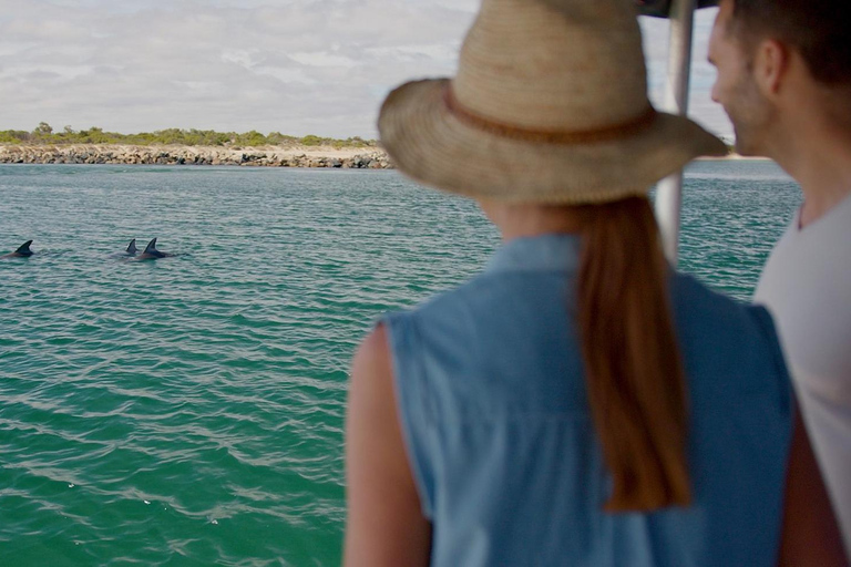Koombana Bay: Dolphin Eco Cruise