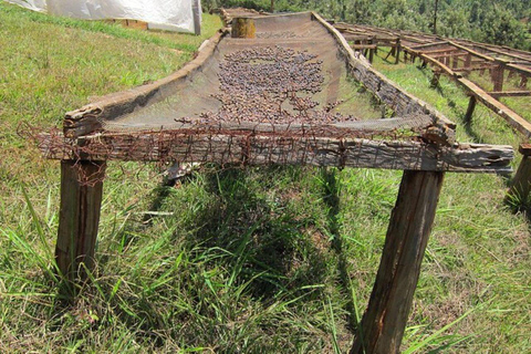 Nairobi: The Wild & The Brew Experience