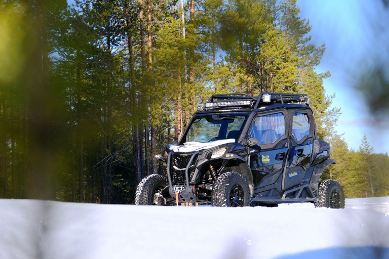 Helsinki: Buggy Ride, Reindeer Farm Visit, and Picnic