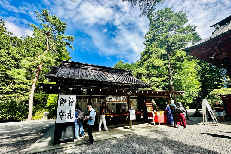 From Tokyo: Mt. Fuji or Hakone Private Sightseeing Day Trip Itinerary A: Mount Fuji