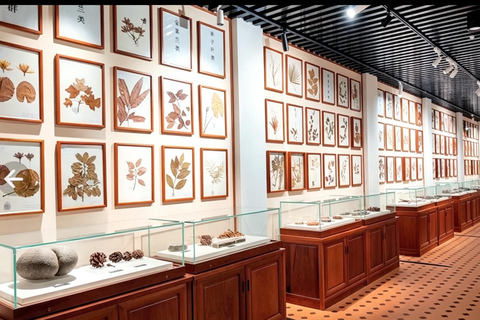 Guangzhou Food Tour: Hidden Gem Museum + Authentic Dim Sum