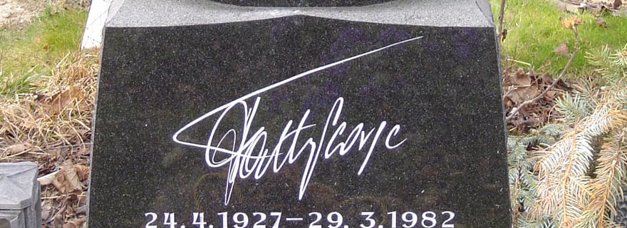 Visite pied à pied de 3 heures du cimetière central de Vienne