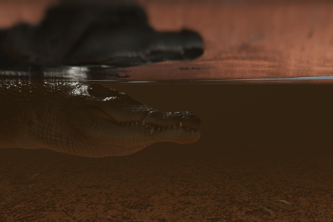 Copenhagen: Hologram Zoo Australia Adventure