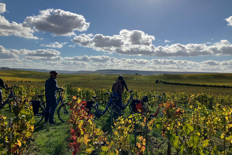 Paseo en bicicleta eléctrica con Angélique por ChampagnePaseo de Angélique en bicicleta eléctrica por Champaña