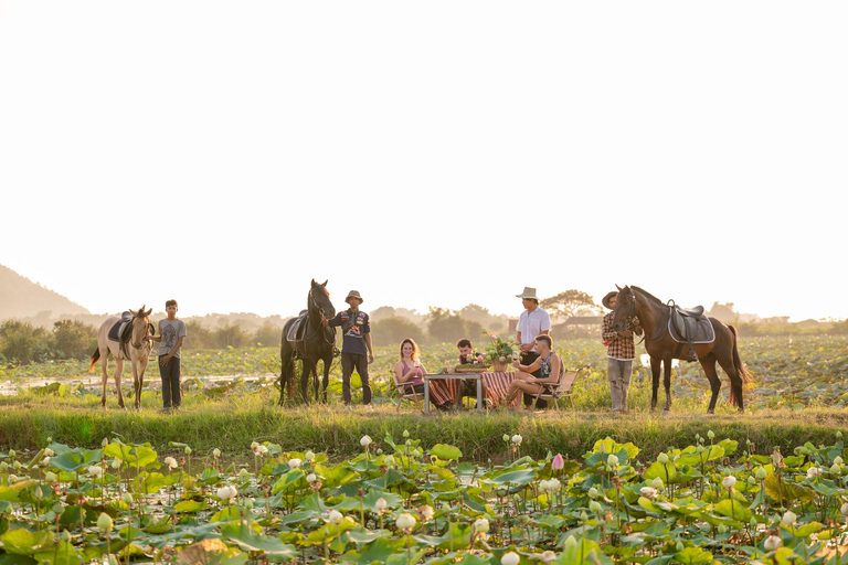 Siem Reap: Horseback Ride with Tour Guide at Phnom Krom (1 hour) Horseback Ride with Tour Guide
