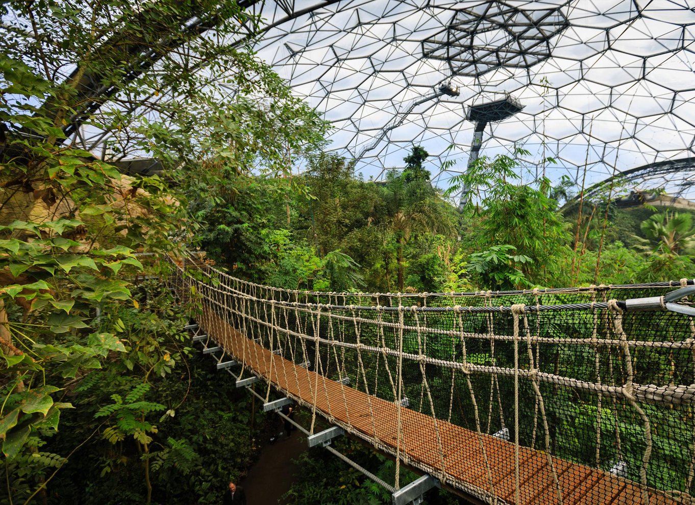 Cornwall: Eden Project entrébillet