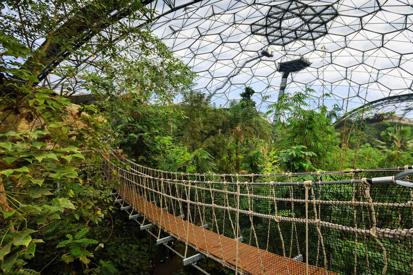 Cornwall: Eden Project Entry Ticket