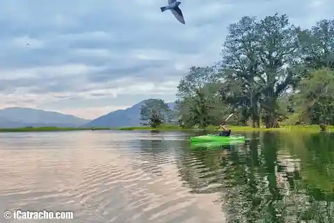 From San Pedro Sula: Yojoa Lake Day Trip
