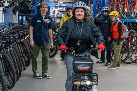 San Francisco: Tour De San Francisco (Electric Bike Tour)