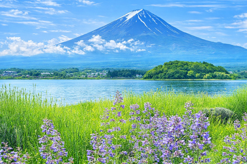 Tokyo: Mt Fuji & Arakurayama& Oshino Hakkai&Lake Kawaguchiko 8:00 AM | Shinjuku Station, West Exit