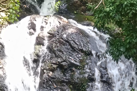 Khao Sok: Trekking privado de um dia, jantar na selva e safári noturno